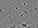 key visualization for pt4263_ts_002
