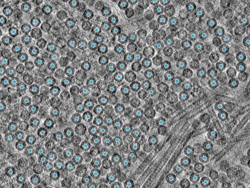key visualization for pt453_ts_002