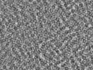 key visualization for pt4562_ts_002