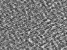 key visualization for pt4562_ts_002