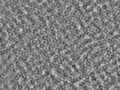 key visualization for pt4562_ts_002