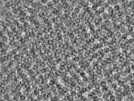 key visualization for pt4562_ts_002
