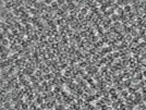 key visualization for pt4562_ts_002