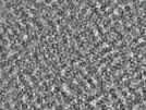 key visualization for pt4562_ts_002