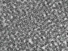 key visualization for pt4562_ts_002