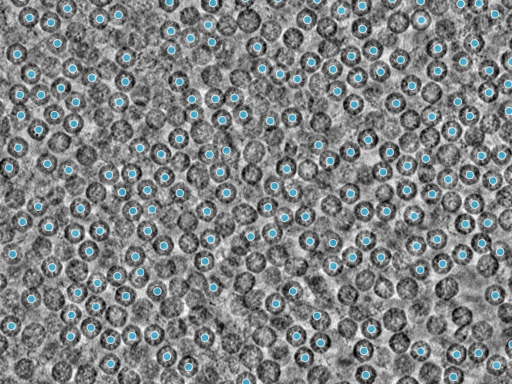 key visualization for pt4562_ts_002