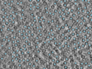 key visualization for pt4562_ts_002