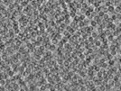 key visualization for pt458_ts_002