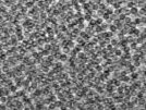 key visualization for pt458_ts_002