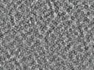 key visualization for pt458_ts_002