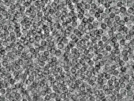 key visualization for pt458_ts_002