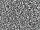 key visualization for pt458_ts_002