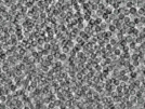 key visualization for pt458_ts_002