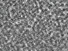 key visualization for pt458_ts_002