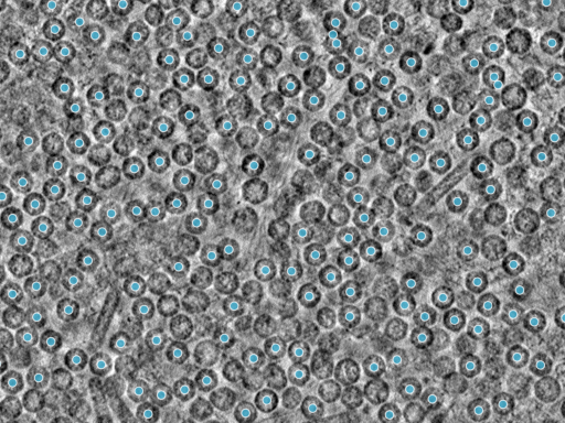 key visualization for pt458_ts_002