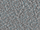 key visualization for pt458_ts_002