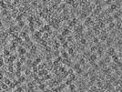 key visualization for pt492_ts_002