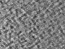 key visualization for pt492_ts_002