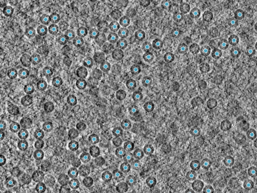 key visualization for pt492_ts_002