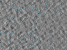 key visualization for pt492_ts_002
