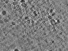 key visualization for pt525_ts_002