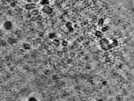 key visualization for pt525_ts_002