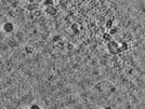 key visualization for pt525_ts_002