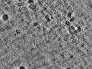 key visualization for pt525_ts_002
