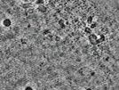 key visualization for pt525_ts_002