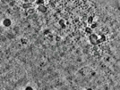 key visualization for pt525_ts_002