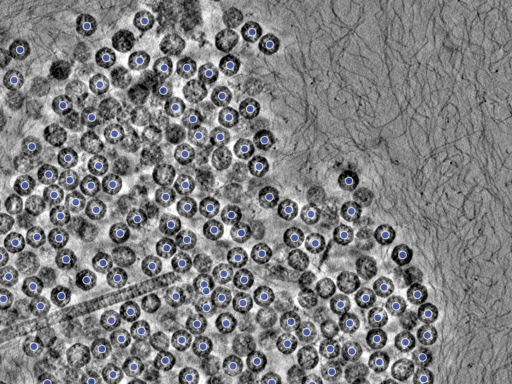 key visualization for pt7132_ts_002