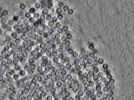 key visualization for pt7132_ts_002
