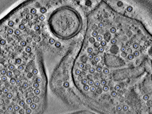 key visualization for pt7152_ts_002