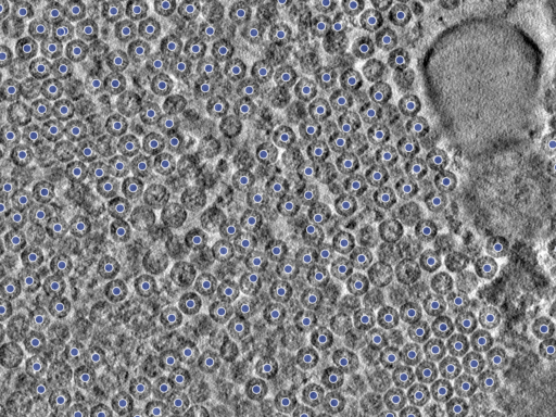 key visualization for pt716_ts_002
