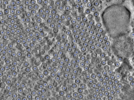 key visualization for pt716_ts_002