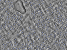 key visualization for pt721_ts_002