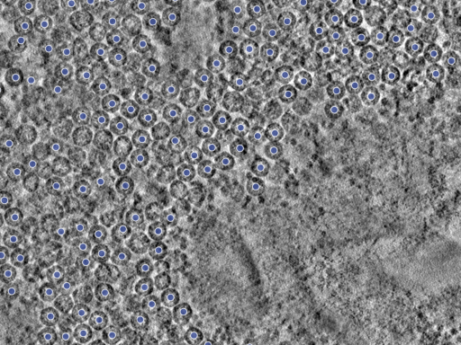 key visualization for pt725_ts_002