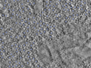 key visualization for pt725_ts_002