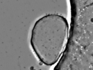key visualization for pt727_ts_002