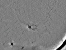 key visualization for pt731_ts_002