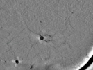 key visualization for pt731_ts_002
