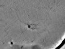 key visualization for pt731_ts_002