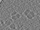 key visualization for pt733_ts_002