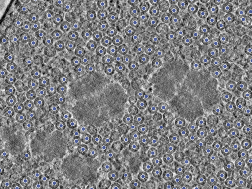 key visualization for pt733_ts_002