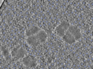 key visualization for pt733_ts_002