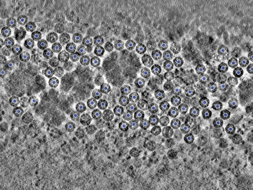 key visualization for pt740_ts_002