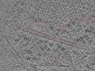 key visualization for Cryo-FIB-milled NIH/3T3 mouse fibroblasts (dataset 1)