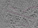 key visualization for L1_P1_ts_002
