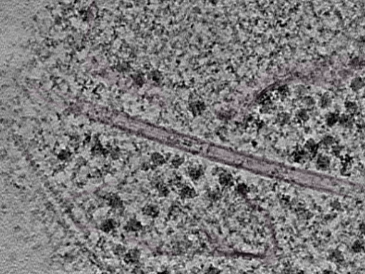 key visualization for L1_P1_ts_002
