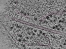 key visualization for L1_P1_ts_002